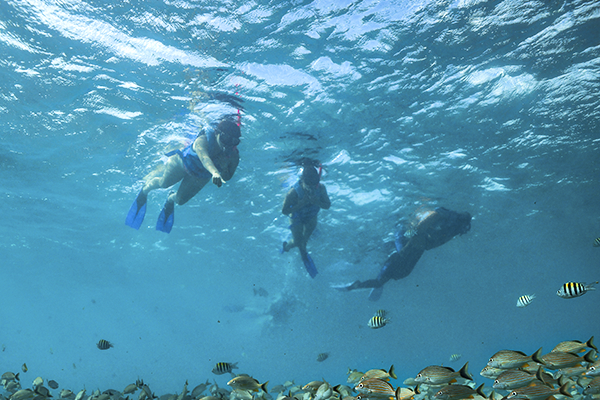Snorkel Expedition